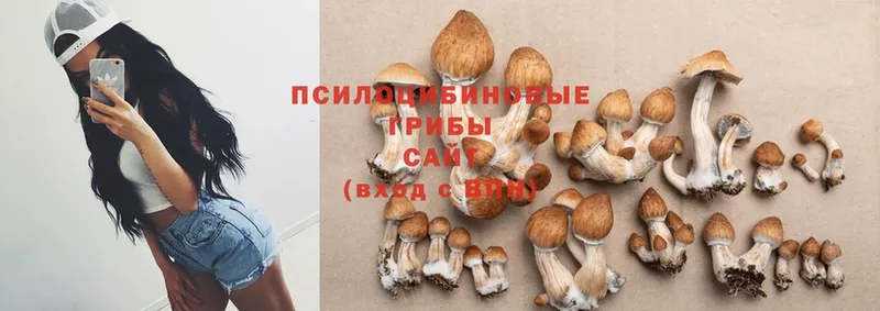 Галлюциногенные грибы Magic Shrooms  omg маркетплейс  Заозёрск 